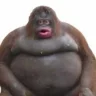 ChunkyMonkey